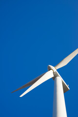 Wind turbine generator for sustainable electricity production