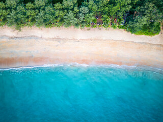 Wall Mural - Aerial top down view of the beautiful beach at Khao Lak, Thailand, with fine sand and palm trees along the coast