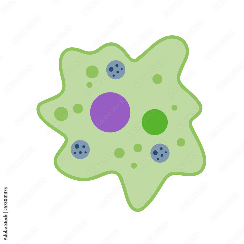 Amoeba cell. Small unicellular animal. Virus and bacteria. Education and science. Flat cartoon illustration