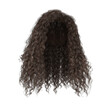 © GRB Renders - 3d rendering curly brown hair isolated