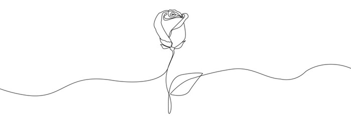 Rose with leaves one line drawing.Continuous line drawing of flower.Hand drawn rose.Single one line flower rose.