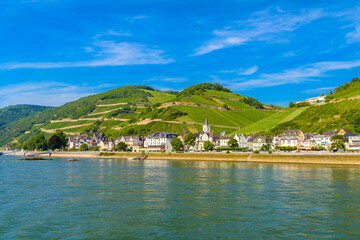 Wall Mural - Vineyards and river in Ruedesheim Assmannshausen, Rudesheim am Rhein Rhine, Rheingau-Taunus-Kreis, Darmstadt, Hessen, Germany