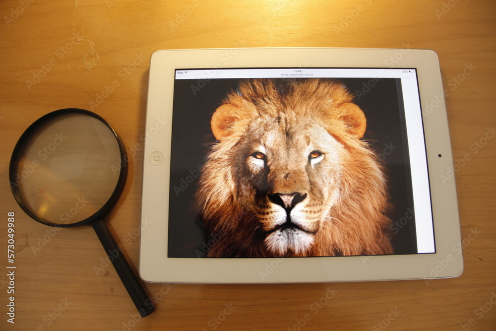 IRRF - Imposto de Renda - Reajuste tabela imposto de renda - IRRF - Income Tax - Adjustment of income tax table