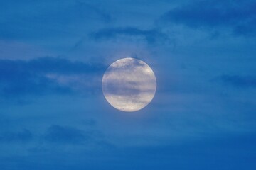 Wall Mural - Full Moon