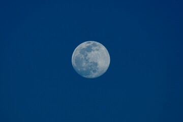 Wall Mural - Full Moon