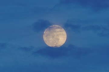 Wall Mural - Full Moon