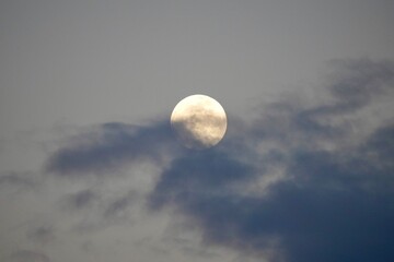 Wall Mural - Full Moon
