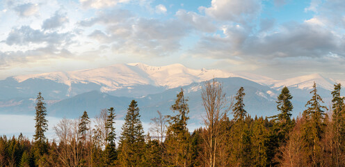 Wall Mural - Early morning spring Carpathian mountains