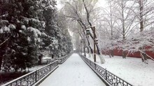 Winter Snow In Beijing