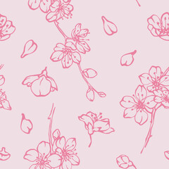 Wall Mural - Hand drawn cherry blossom seamless pattern with flowers, buds and petals pink contour drawing