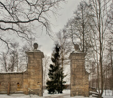 Old Gates In Winter