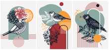 Collage-style Bird Cards Set. Sketched Birds Trendy Poster Collection. Creative Designs With Botanical Illustrations, Geometric Shapes, And Abstract Elements For Nature Print, Wall Art, Packaging.