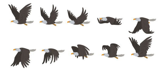 flying eagle. sprites for 2d animation