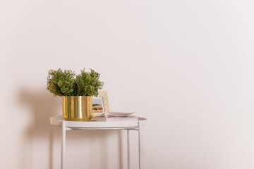 Mini plant and book on white table, copy space, nobody, tree in golden pot for decoration in home, white background, spring and summer.The stylish interio,rThe minimalizm concept of space.