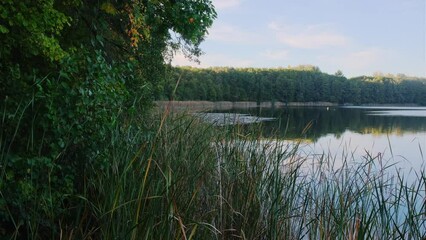 Poster - Natural landscape of the lake, high definition, the movement of waves against the background of the autumn forest. The reflection of clouds on the ripples of water. Germany.