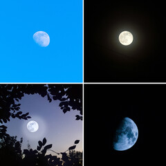 Wall Mural - collage of the moon different photos, square photo. all the photos used belong to me