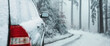 Zbliżenie ośnieżonego samochodu zimą na zaśnieżonej drodze w lesie