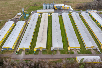 Wall Mural - aerial view of rows of agro farms with silos and agro-industrial livestock complex