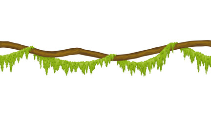 Lianas stem border. Rainforest green vine or twisted plant hanging on branch. Cartoon jungle creeper, leaves or moss on tree. isolated game scenery element. Tropical nature plant