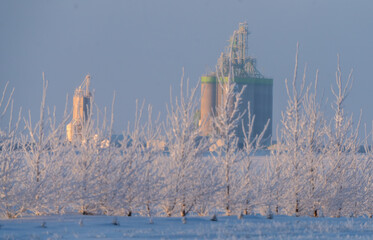 Sticker - Prairie Winter Scenes