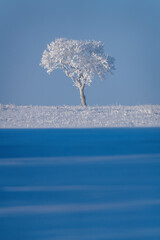 Sticker - Prairie Winter Scenes