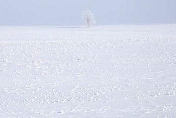 Sticker - Prairie Winter Scenes