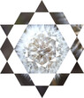 Sacred Geometry in Nature - Dandelion, Hexagon	