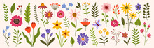 Flower Collection, Floral Design Elements Vector Set.