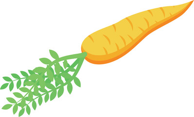 Canvas Print - Garden carrot icon isometric vector. Food drink. Summer menu