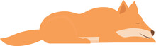 Sleeping Dingo Dog Icon Cartoon Vector. Australian Nature. Cute Mammal