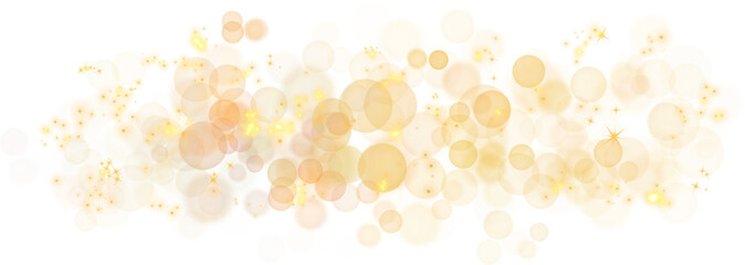 Canvas Print - golden sun particles sparks with lens flare effect on transparent background