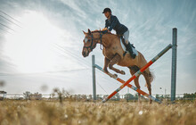 Training, Jump And Woman On A Horse For A Course, Event Or Show On A Field In Norway. Equestrian, Jumping And Girl Doing A Horseback Riding Obstacle During A Jockey Race, Hobby Or Sport In Nature