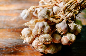 Wall Mural - Thai Fresh Garlic