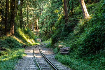 Wall Mural - The old forest railway section of the Shuishan Trail at Alishan Forest Recreation Area in Chiayi, Taiwan. Now obsolete and unable to operate.