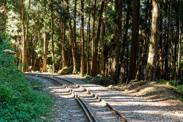 Wall Mural - The old forest railway section of the Shuishan Trail at Alishan Forest Recreation Area in Chiayi, Taiwan. Now obsolete and unable to operate.