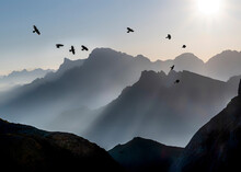 Birds Flying Over Mountains At Dolomites, Italy