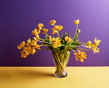 Vase Of Yellow Tulips On Table Against Purple Background