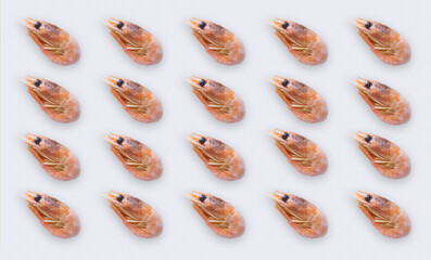 Wall Mural - Shrimp collage on white background, nautical theme