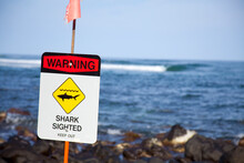 Shark Warning Sign On The North Shore In Hawaii