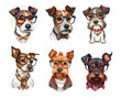 Jack Russell set. Vector set of cute jack russell in white-brown glasses on a white background. Cartoon set of purebred dog icons. Ideal for print, game interface, book, sticker or poster. Vector