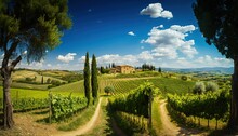 Tuscany Landscape With Vineyard, Beautiful Daylight, Generative Ai.
