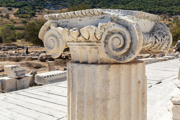Wall Mural - Ionic capital and marble column in Ancient Ephesus. Selected focus, copy space. Art, design or tourism concept. Selcuk, Turkey (Turkiye)
