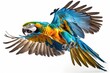 A colorful parrot flying on white background - Generative AI