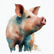 pig , animal, watercolor illustration isolated on white background, generative ai
