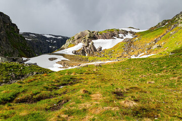 Poster -  Large snowfields