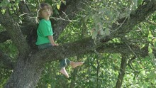 Barefoot Cheerful Kid Climbed On A Top Branch Of The Tree, Blonde Hair Child