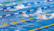 group athletes swimmers swim freestyle in swimming competition