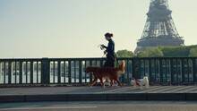 Young Girl With Dogs Walking On A Bridge With The Eiffel Tower In The Background