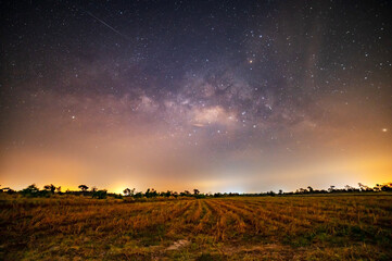 Wall Mural - sunrise sky milky way over rice fields and star on dark background.with grain and select white balan