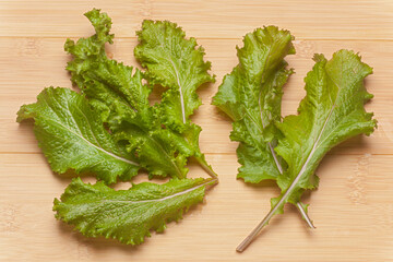 Sticker - Fresh Mustard Greens